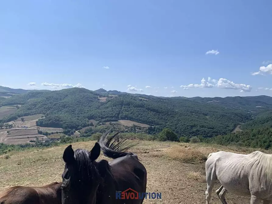 Immagine 34 di Rustico / casale in vendita  a Città Di Castello