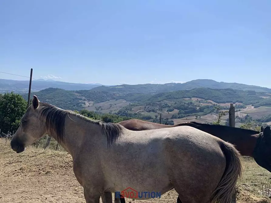 Immagine 35 di Rustico / casale in vendita  a Città Di Castello