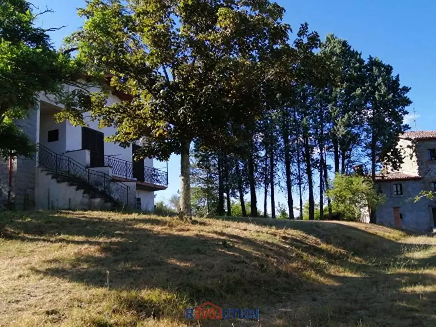 Immagine 2 di Rustico / casale in vendita  in Lugnano a Città Di Castello