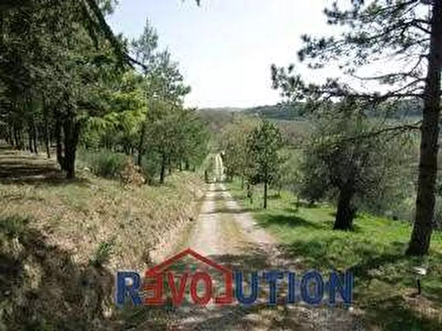 Immagine 23 di Rustico / casale in vendita  in Collevecchio a Città Di Castello