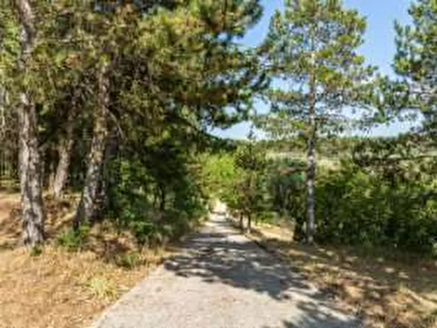 Immagine 26 di Rustico / casale in vendita  in Collevecchio a Città Di Castello