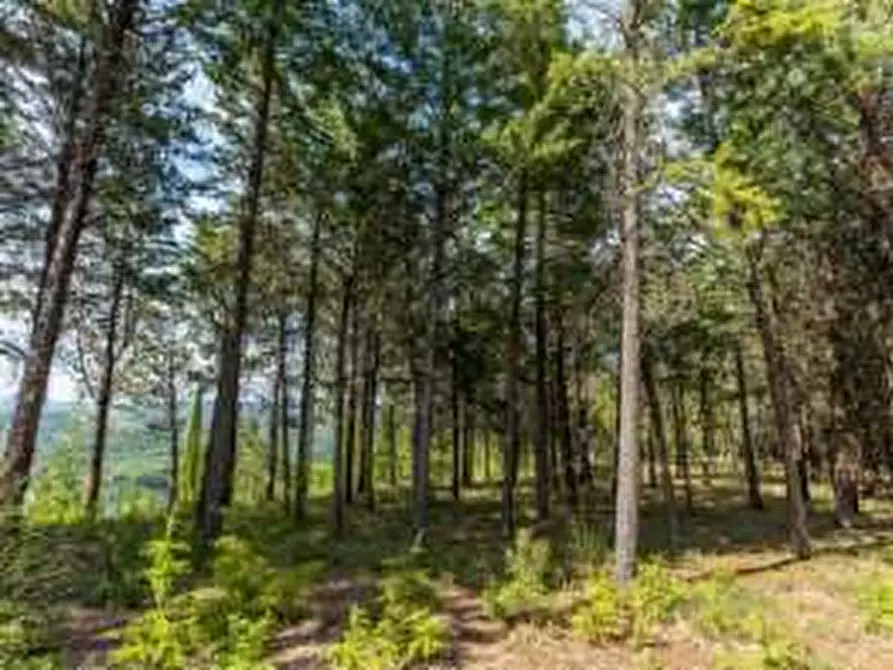 Immagine 27 di Rustico / casale in vendita  in Collevecchio a Città Di Castello