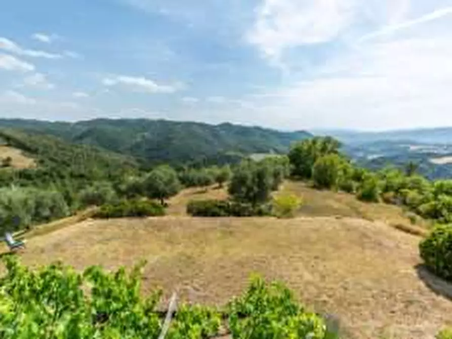 Immagine 36 di Rustico / casale in vendita  in Collevecchio a Città Di Castello