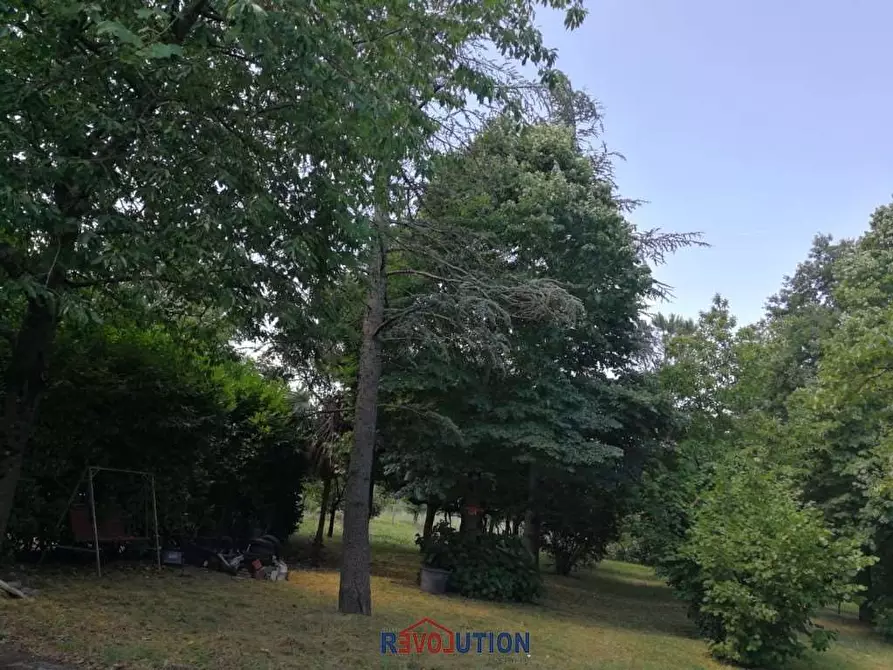 Immagine 26 di Casa indipendente in vendita  in Località Cascine a San Giustino