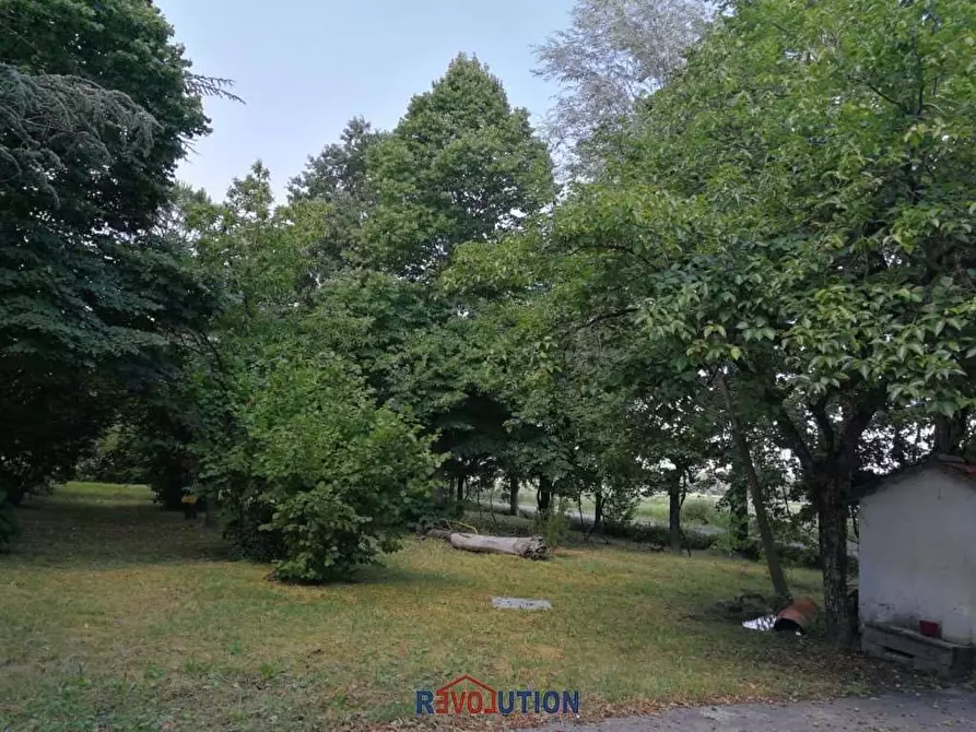 Immagine 3 di Casa indipendente in vendita  in Località Cascine a San Giustino