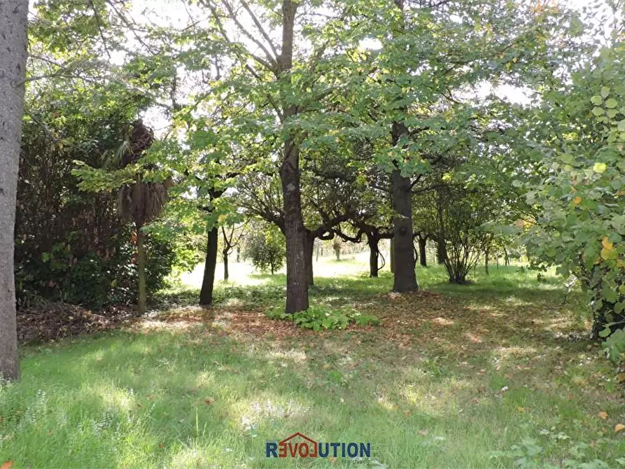 Immagine 53 di Casa indipendente in vendita  in Località Cascine a San Giustino