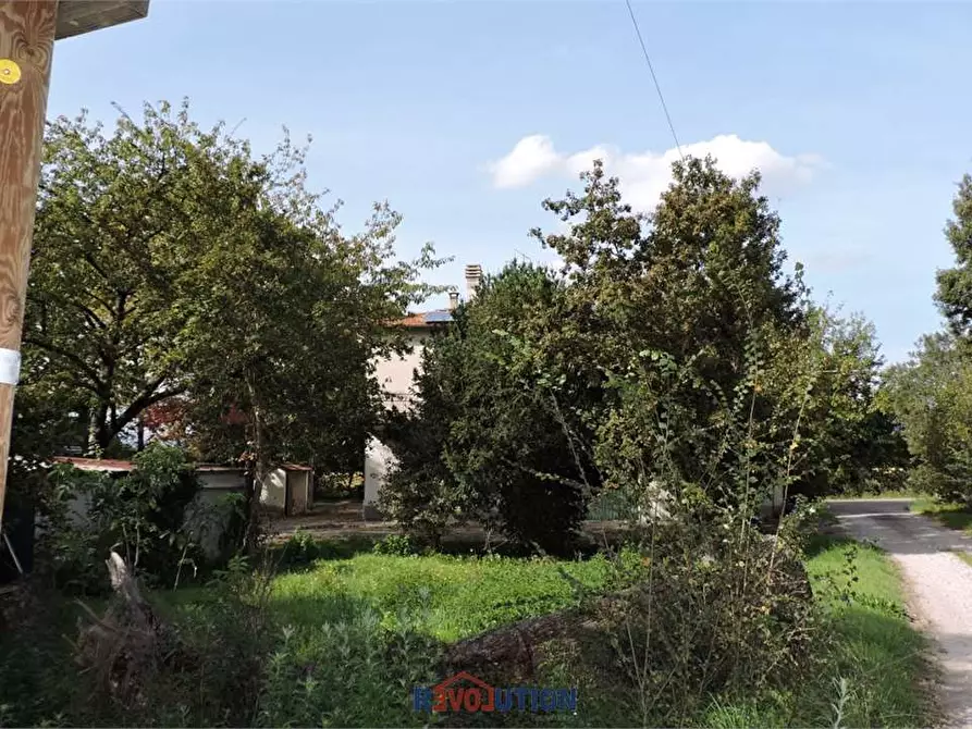 Immagine 56 di Casa indipendente in vendita  in Località Cascine a San Giustino