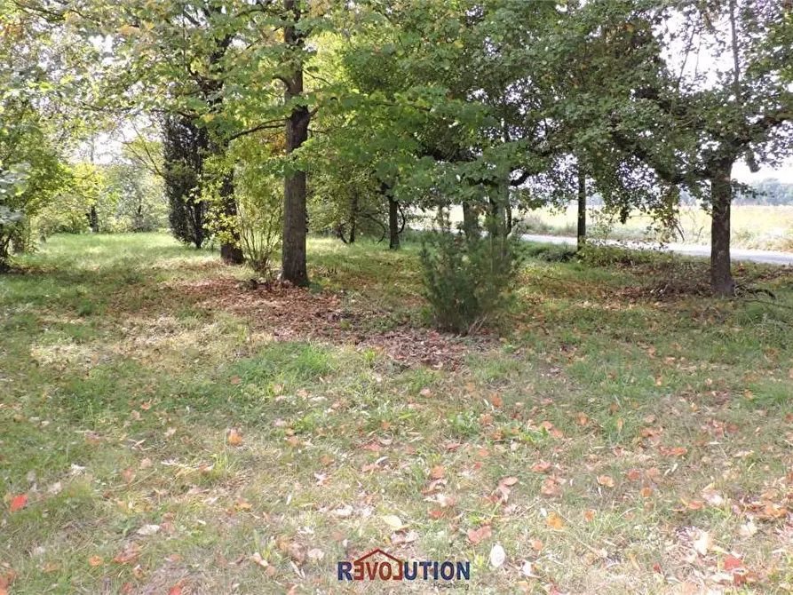 Immagine 61 di Casa indipendente in vendita  in Località Cascine a San Giustino