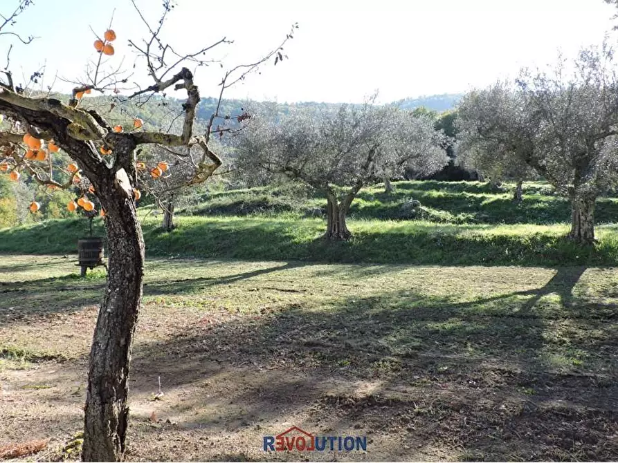 Immagine 8 di Rustico / casale in vendita  in Vocabolo santa maria delle corti a Lisciano Niccone