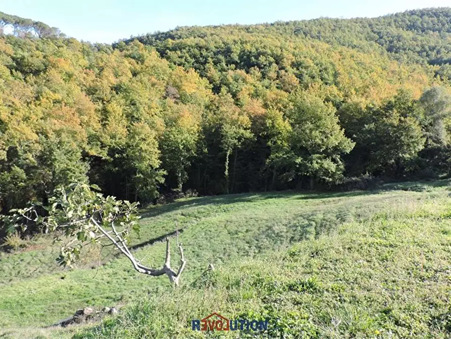 Immagine 41 di Rustico / casale in vendita  in Vocabolo santa maria delle corti a Lisciano Niccone