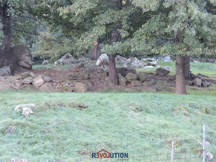 Immagine 43 di Rustico / casale in vendita  in Vocabolo santa maria delle corti a Lisciano Niccone