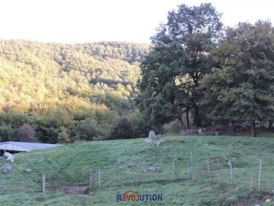 Immagine 44 di Rustico / casale in vendita  in Vocabolo santa maria delle corti a Lisciano Niccone