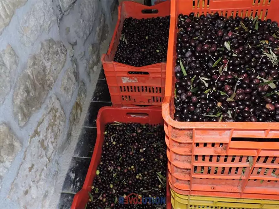 Immagine 48 di Rustico / casale in vendita  in Vocabolo santa maria delle corti a Lisciano Niccone