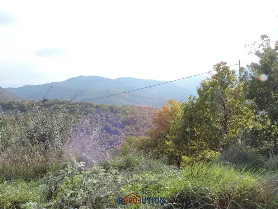 Immagine 5 di Terreno agricolo in vendita  in Molino Vitelli a Umbertide