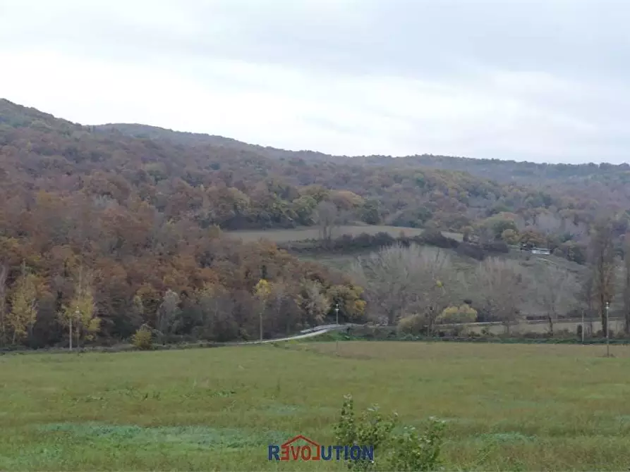Immagine 6 di Terreno agricolo in vendita  in Molino Vitelli a Umbertide
