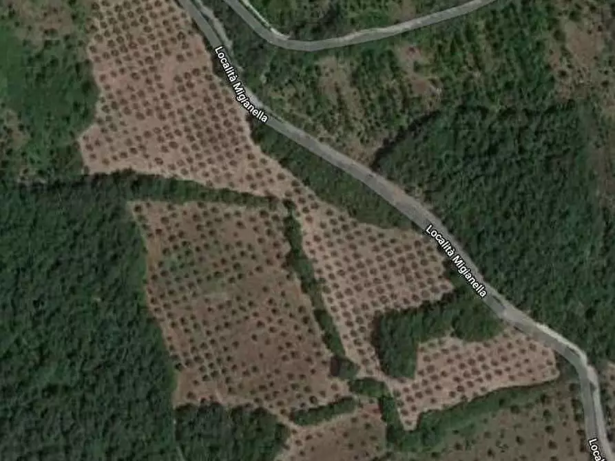 Immagine 2 di Terreno agricolo in vendita  in Molino Vitelli a Umbertide