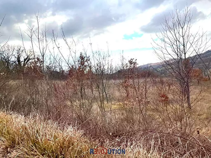 Immagine 12 di Terreno agricolo in vendita  in Molino Vitelli a Umbertide