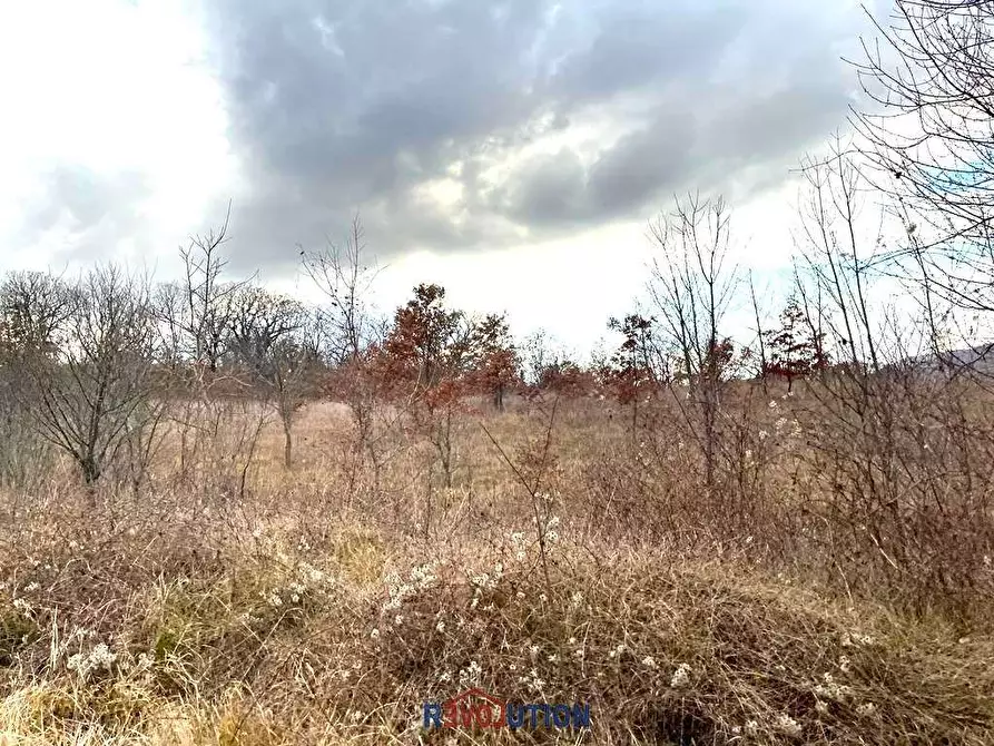 Immagine 13 di Terreno agricolo in vendita  in Molino Vitelli a Umbertide
