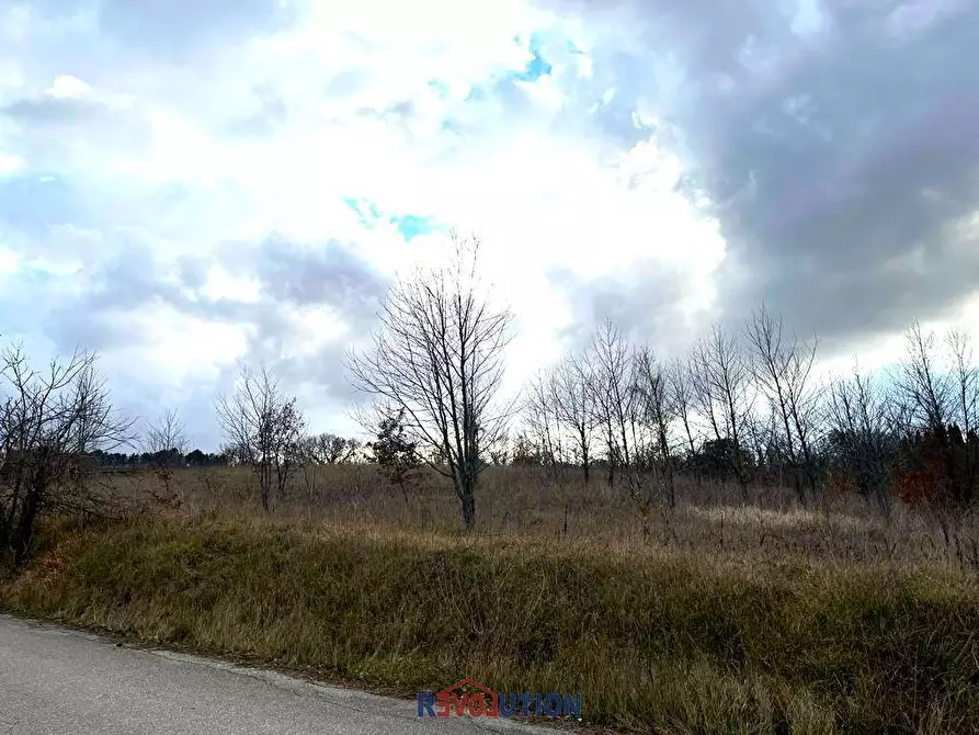 Immagine 14 di Terreno agricolo in vendita  in Molino Vitelli a Umbertide