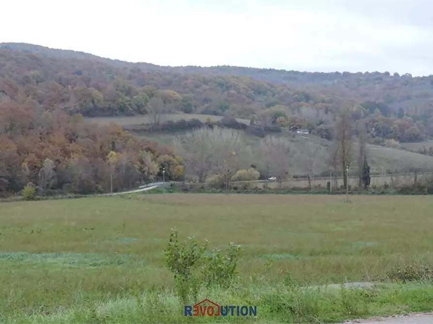 Immagine 16 di Terreno agricolo in vendita  in Molino Vitelli a Umbertide