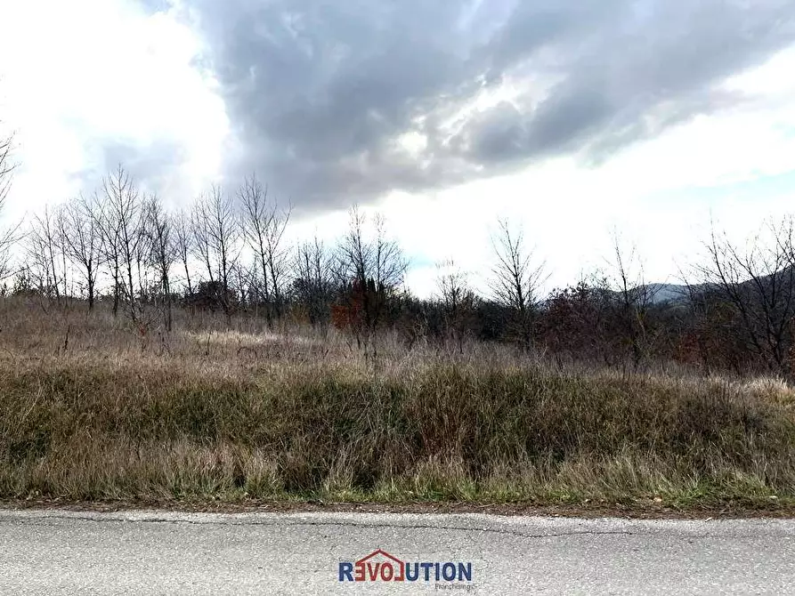 Immagine 17 di Terreno agricolo in vendita  in Molino Vitelli a Umbertide