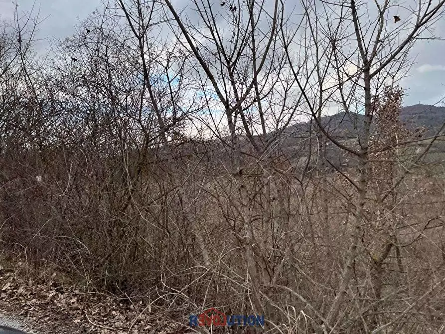 Immagine 18 di Terreno agricolo in vendita  in Molino Vitelli a Umbertide