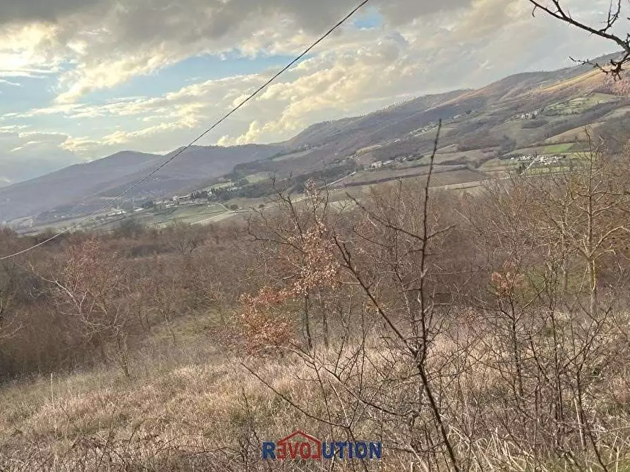 Immagine 23 di Terreno agricolo in vendita  in Molino Vitelli a Umbertide