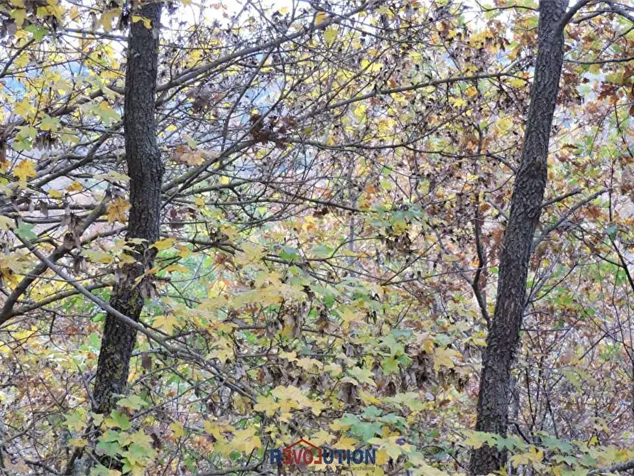 Immagine 25 di Terreno agricolo in vendita  in Molino Vitelli a Umbertide