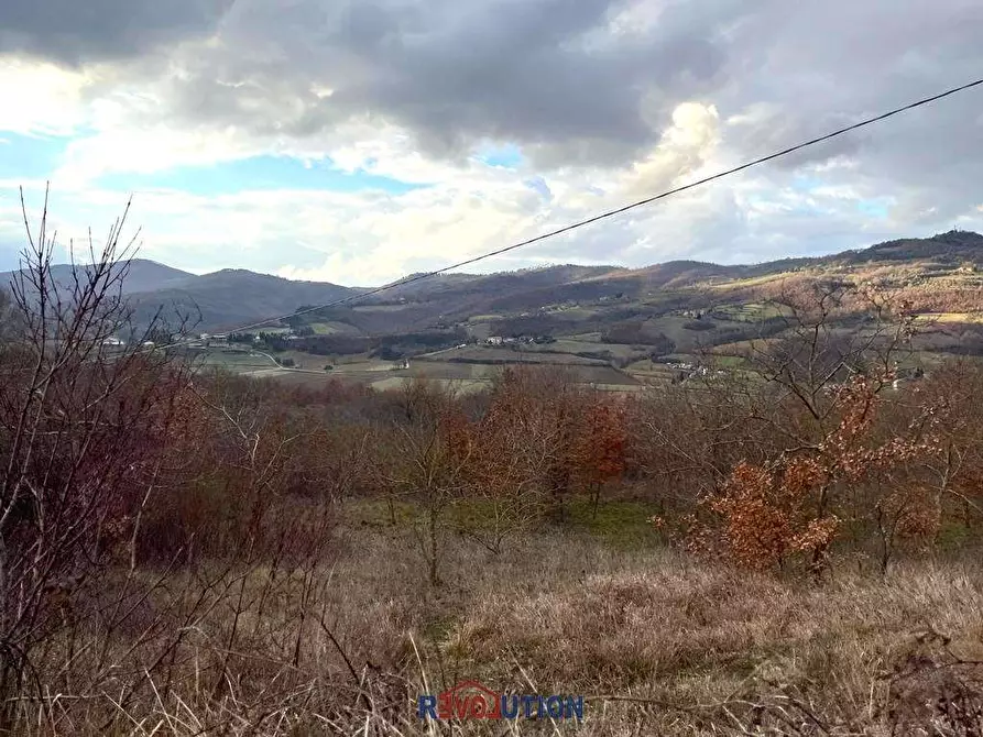 Immagine 27 di Terreno agricolo in vendita  in Molino Vitelli a Umbertide