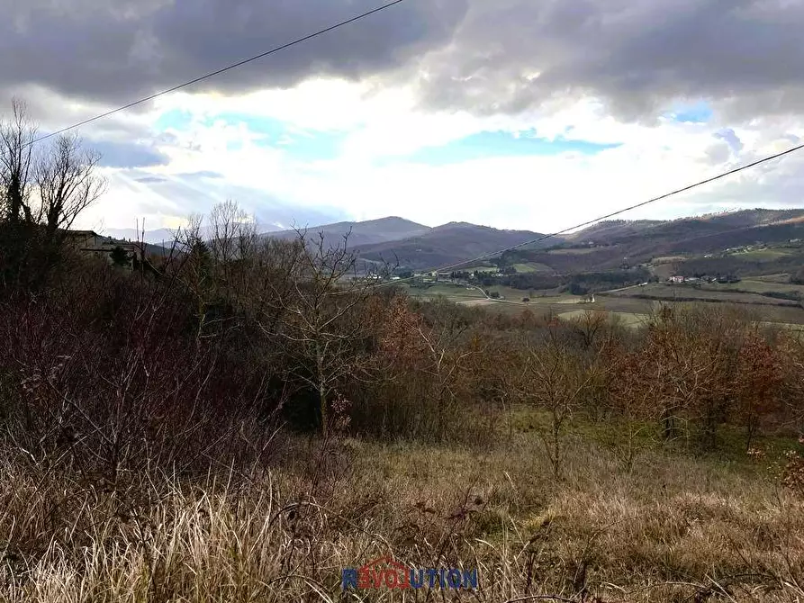 Immagine 28 di Terreno agricolo in vendita  in Molino Vitelli a Umbertide