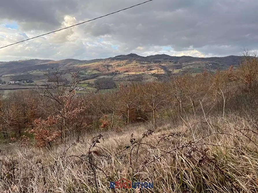 Immagine 29 di Terreno agricolo in vendita  in Molino Vitelli a Umbertide