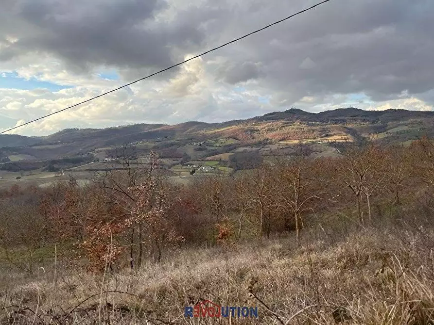 Immagine 30 di Terreno agricolo in vendita  in Molino Vitelli a Umbertide