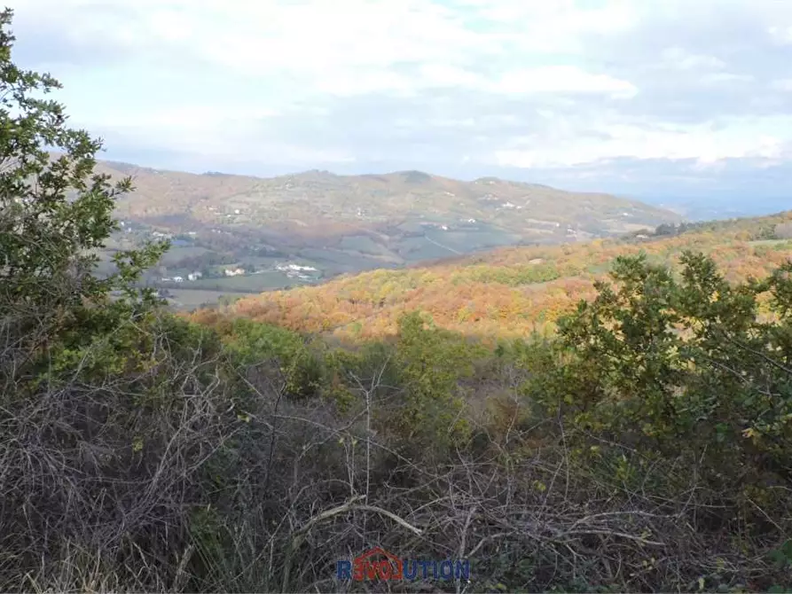 Immagine 31 di Terreno agricolo in vendita  in Molino Vitelli a Umbertide