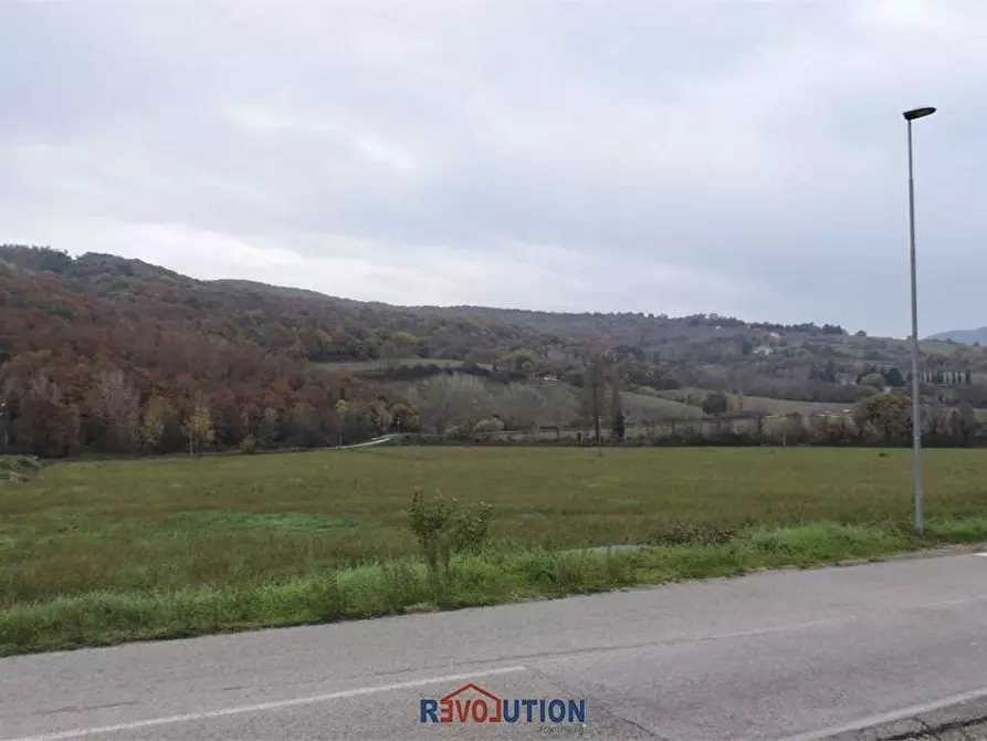 Immagine 32 di Terreno agricolo in vendita  in Molino Vitelli a Umbertide