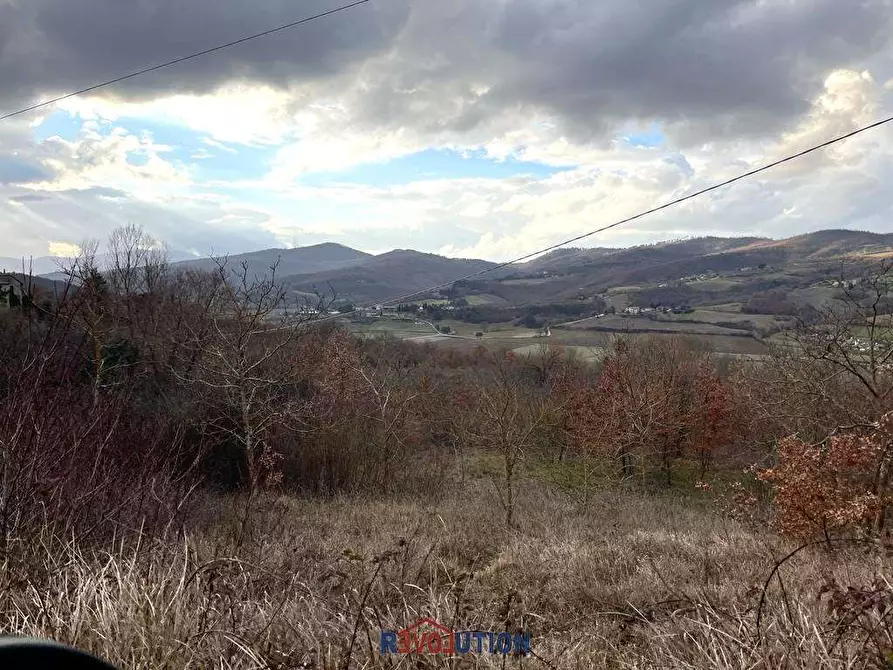 Immagine 36 di Terreno agricolo in vendita  in Molino Vitelli a Umbertide