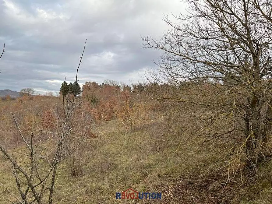 Immagine 37 di Terreno agricolo in vendita  in Molino Vitelli a Umbertide