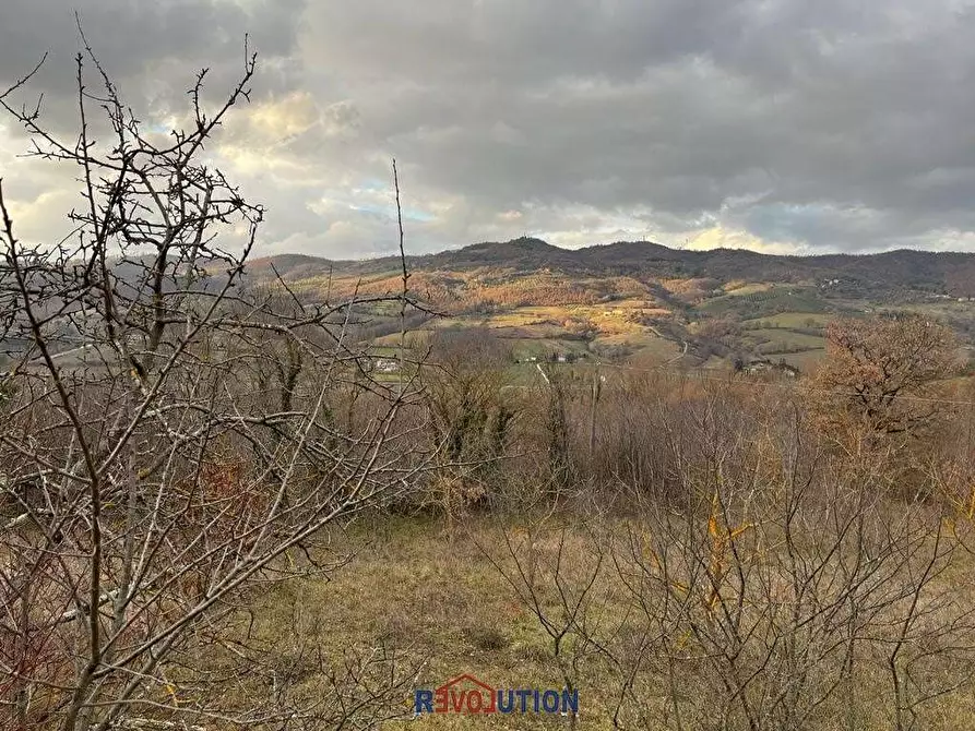 Immagine 38 di Terreno agricolo in vendita  in Molino Vitelli a Umbertide