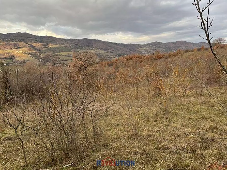 Immagine 39 di Terreno agricolo in vendita  in Molino Vitelli a Umbertide