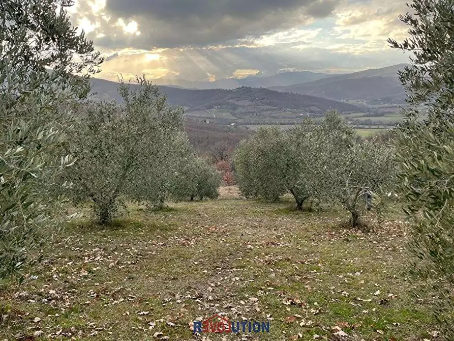 Immagine 40 di Terreno agricolo in vendita  in Molino Vitelli a Umbertide