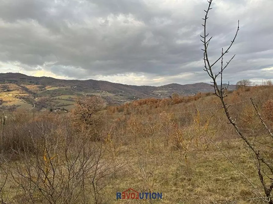 Immagine 42 di Terreno agricolo in vendita  in Molino Vitelli a Umbertide