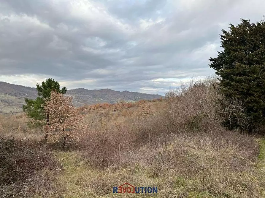 Immagine 43 di Terreno agricolo in vendita  in Molino Vitelli a Umbertide