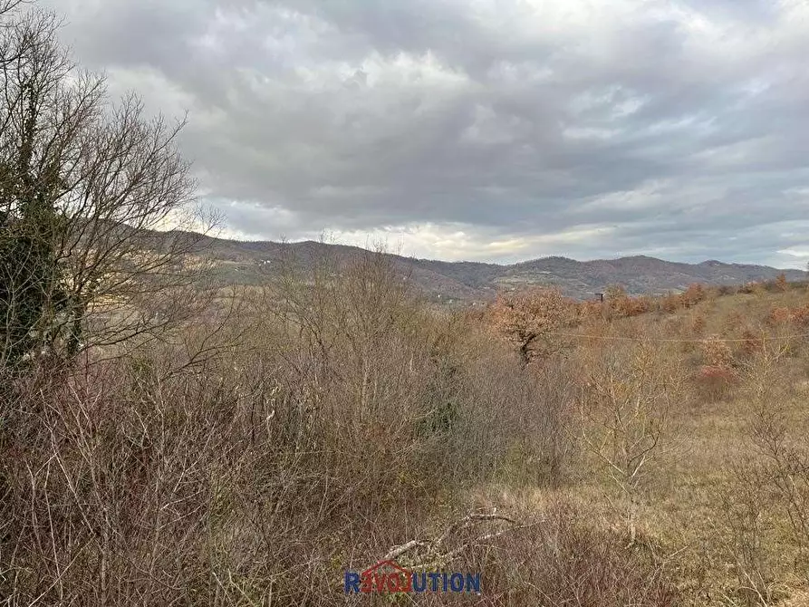 Immagine 45 di Terreno agricolo in vendita  in Molino Vitelli a Umbertide