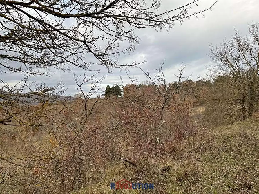 Immagine 46 di Terreno agricolo in vendita  in Molino Vitelli a Umbertide