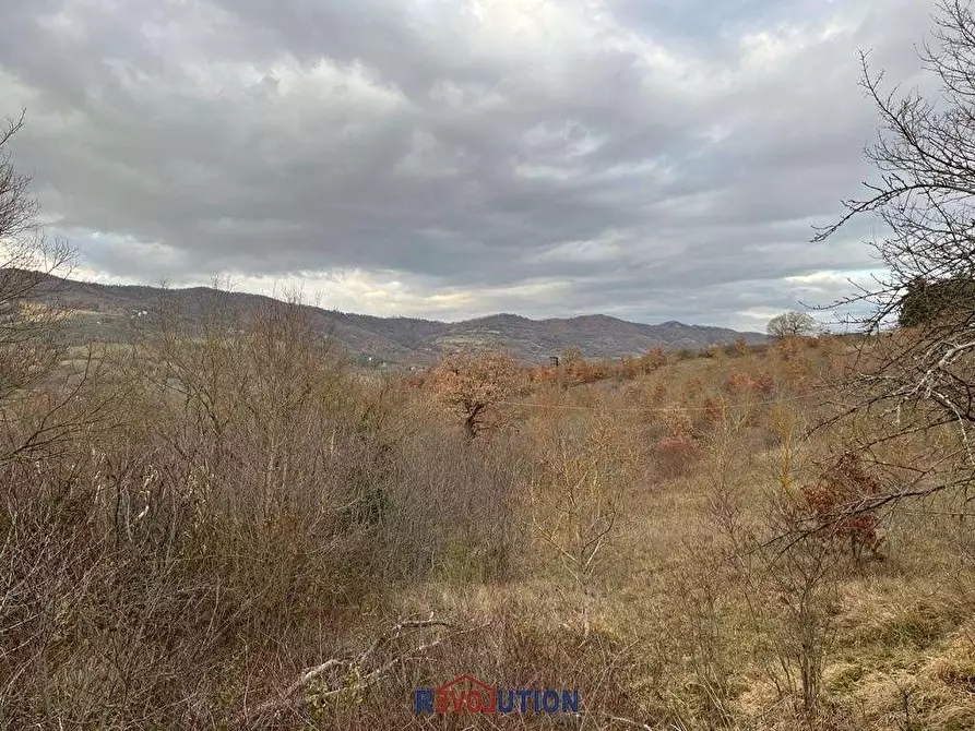 Immagine 47 di Terreno agricolo in vendita  in Molino Vitelli a Umbertide