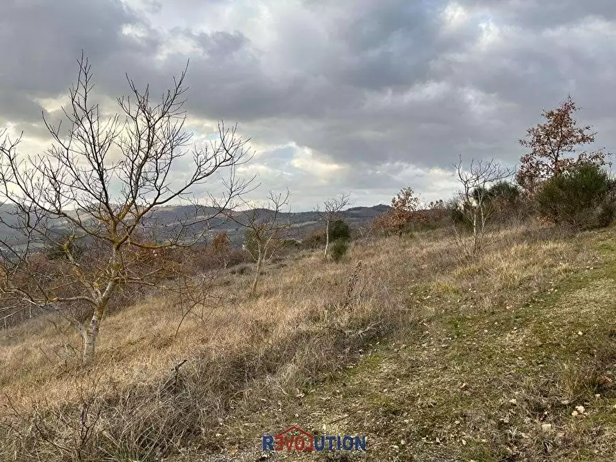 Immagine 48 di Terreno agricolo in vendita  in Molino Vitelli a Umbertide