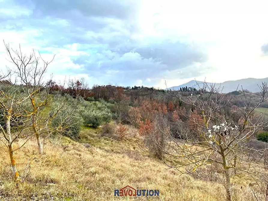 Immagine 49 di Terreno agricolo in vendita  in Molino Vitelli a Umbertide
