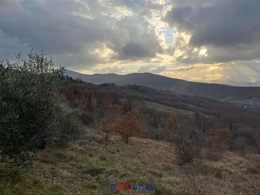 Immagine 50 di Terreno agricolo in vendita  in Molino Vitelli a Umbertide