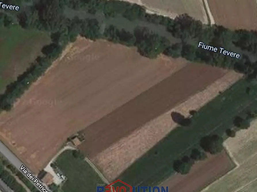 Immagine 2 di Terreno agricolo in vendita  in Via dei Petricci a Umbertide