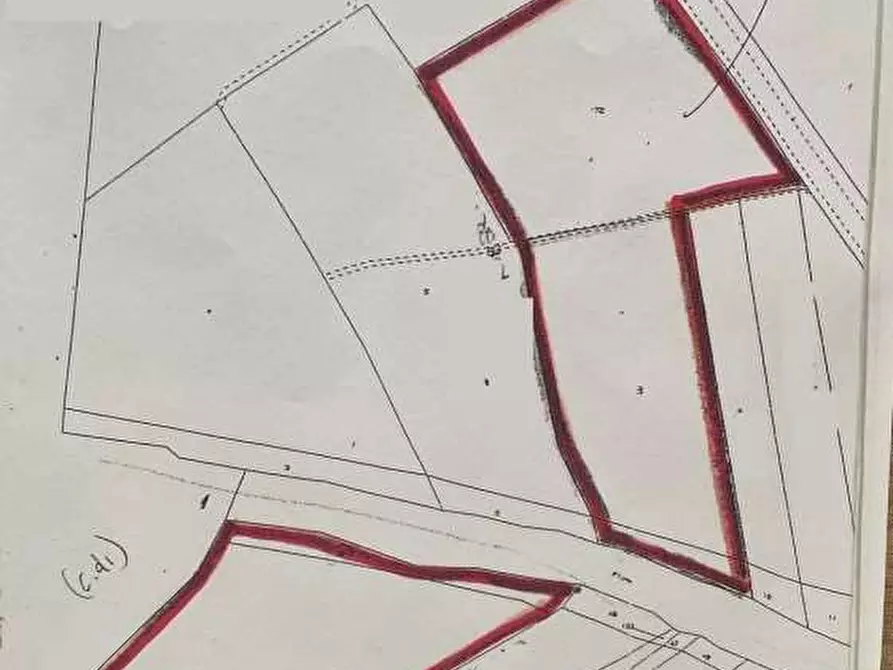 Immagine 3 di Terreno agricolo in vendita  in Via dei Petricci a Umbertide