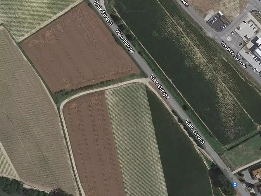 Immagine 4 di Terreno agricolo in vendita  in Via dei Petricci a Umbertide